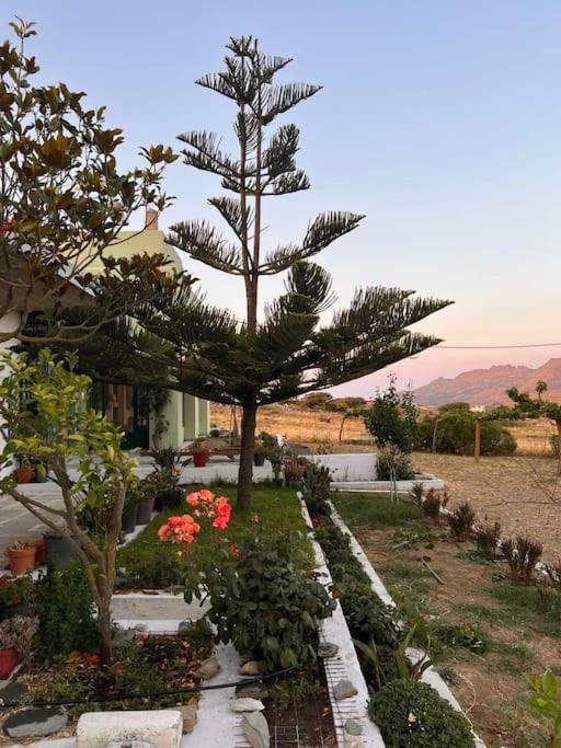 Borgo Majoca - Μονοκατοικία Σε Κυκλαδίτικο Νησί Mési المظهر الخارجي الصورة